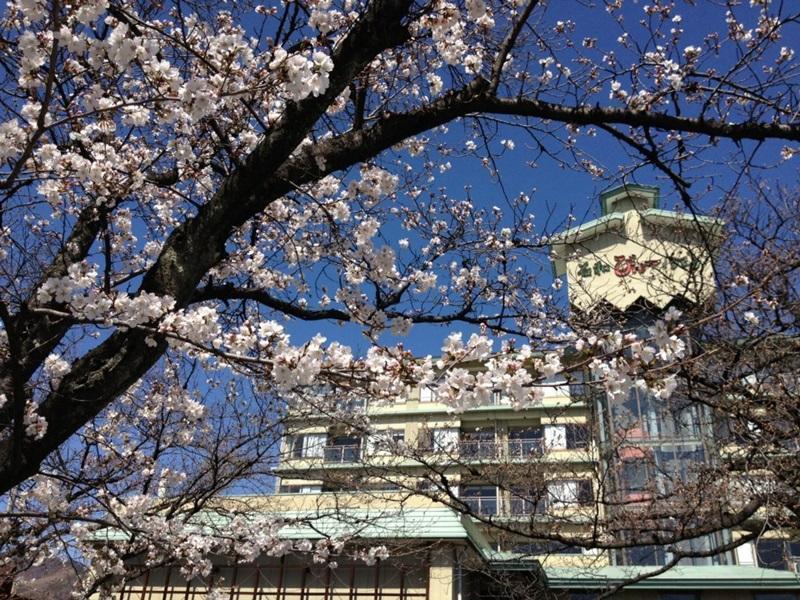 Isawa View Hotel Fuefuki Zewnętrze zdjęcie